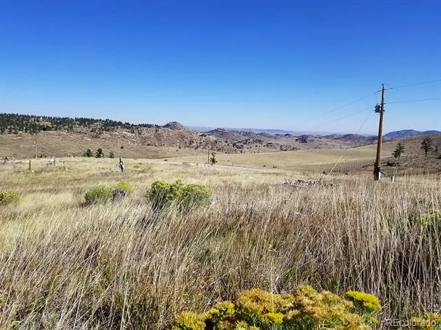 59 Bobcat Mountain Court Livermore, CO 80536