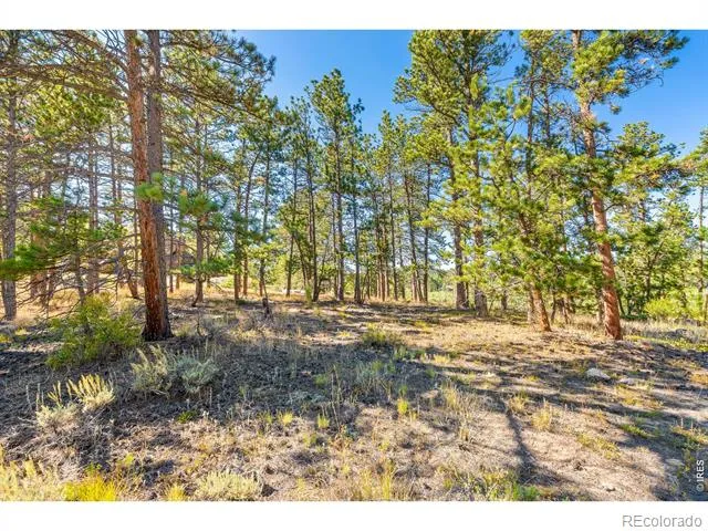 70 Northwoods Drive Red Feather Lakes, CO 80545