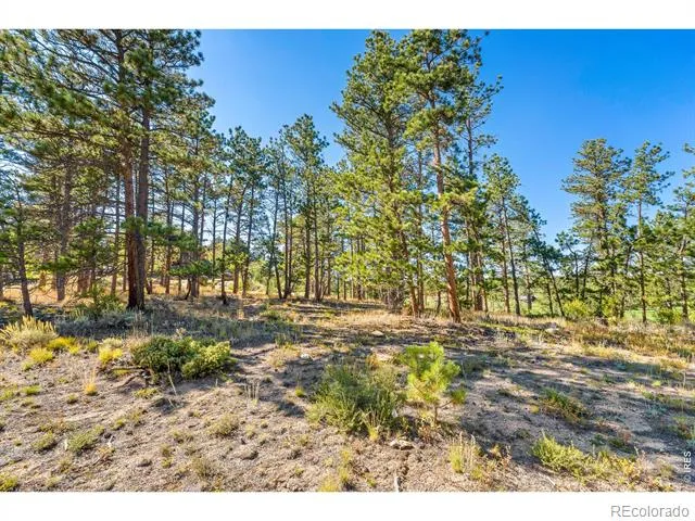 70 Northwoods Drive Red Feather Lakes, CO 80545