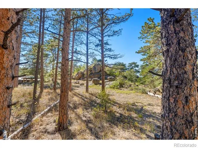 70 Northwoods Drive Red Feather Lakes, CO 80545