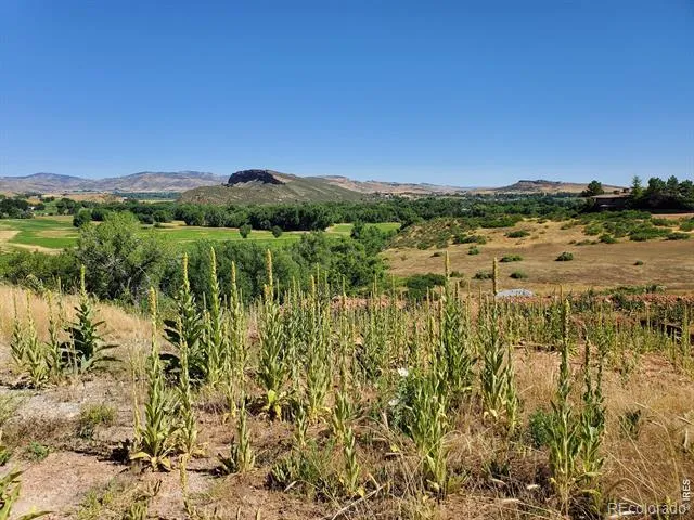 4516 Bingham Hill Road Fort Collins, CO 80521