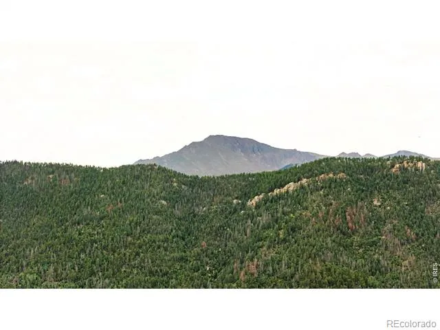 9150 W Highway 24 Cascade, CO 80809