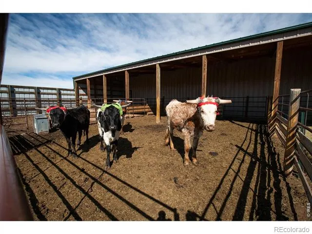 23930 Highway 287 Livermore, CO 80536