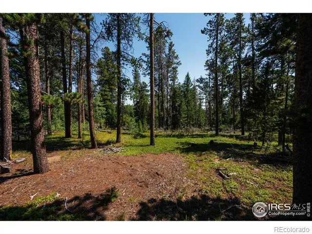 122 Elk Way Drake, CO 80515