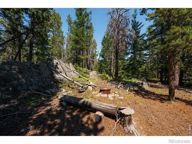 122 Elk Way Drake, CO 80515