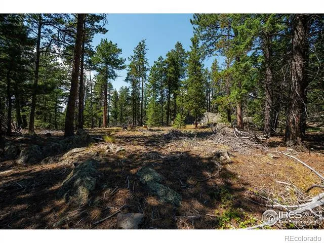 122 Elk Way Drake, CO 80515