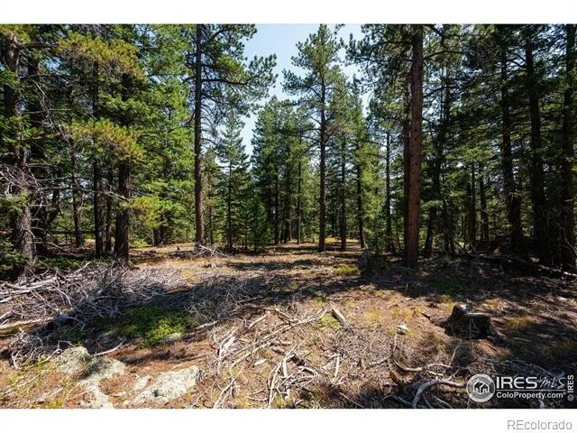 122 Elk Way Drake, CO 80515