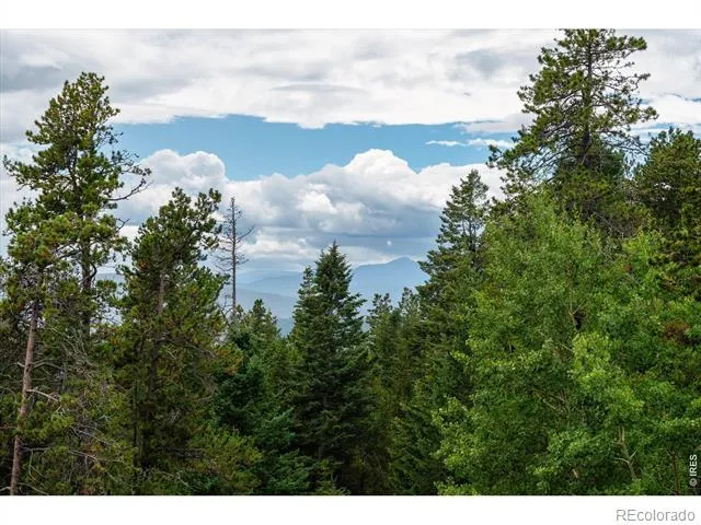 122 Elk Way Drake, CO 80515