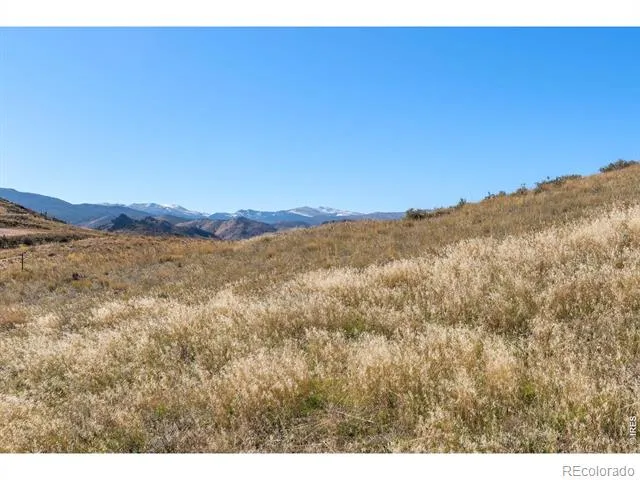 743 Horse Mountain Drive Livermore, CO 80536