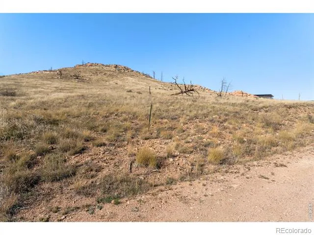 743 Horse Mountain Drive Livermore, CO 80536