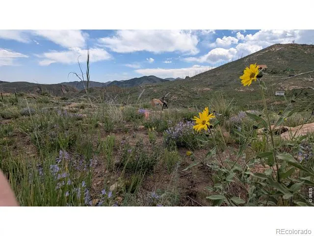 1324 Meadow Mountain Drive Livermore, CO 80536