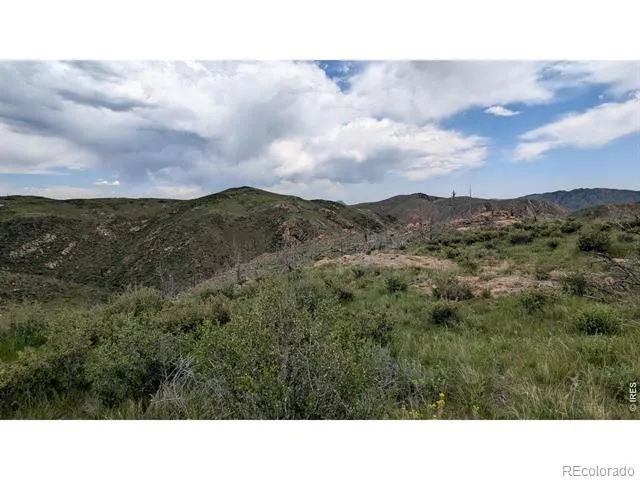 1324 Meadow Mountain Drive Livermore, CO 80536