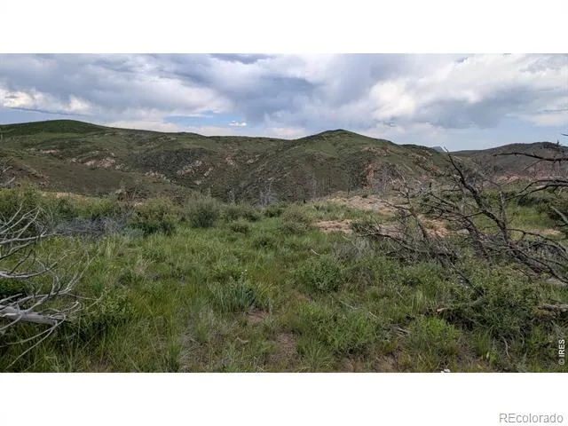 1324 Meadow Mountain Drive Livermore, CO 80536