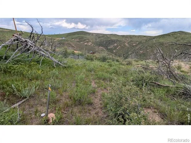 1324 Meadow Mountain Drive Livermore, CO 80536