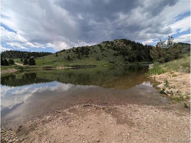 1324 Meadow Mountain Drive Livermore, CO 80536
