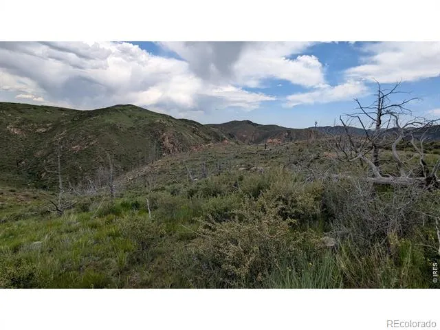 1324 Meadow Mountain Drive Livermore, CO 80536