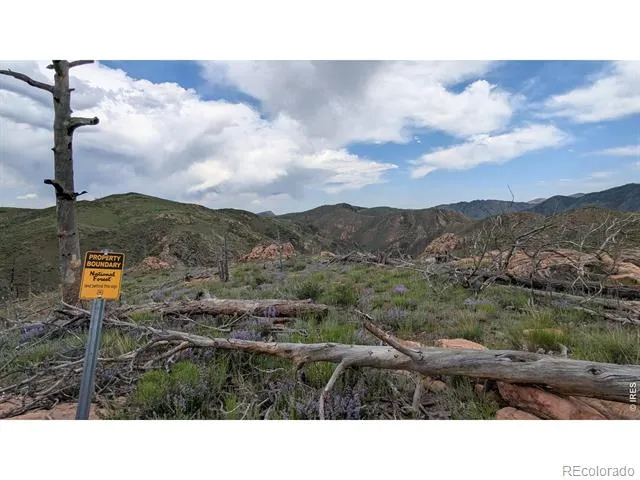 1324 Meadow Mountain Drive Livermore, CO 80536