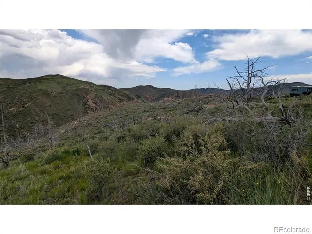 1324 Meadow Mountain Drive Livermore, CO 80536