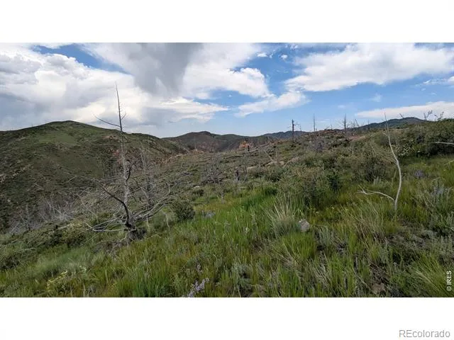 1324 Meadow Mountain Drive Livermore, CO 80536