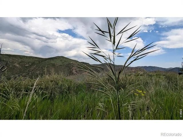 1324 Meadow Mountain Drive Livermore, CO 80536