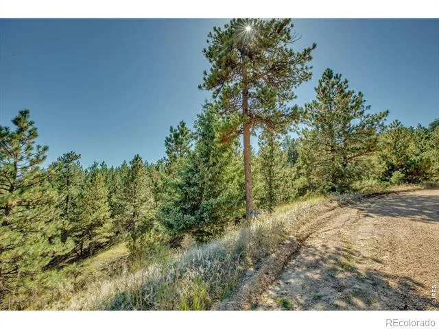 198 Puma Drive Boulder, CO 80302