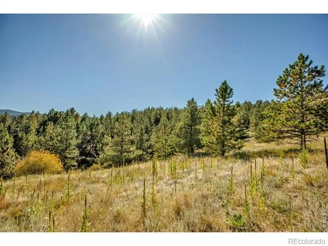 198 Puma Drive Boulder, CO 80302