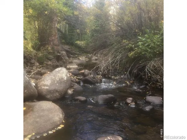 470 W Spring Street Nederland, CO 80466