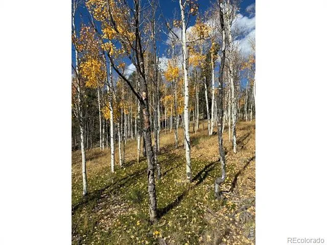 85 Remwood Circle Divide, CO 80814