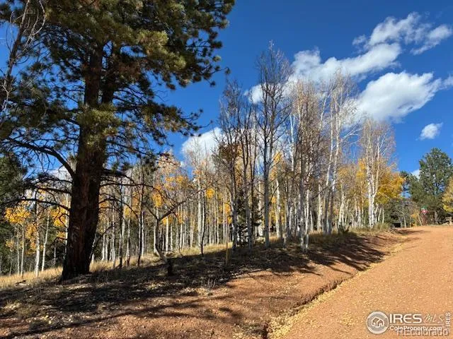 85 Remwood Circle Divide, CO 80814