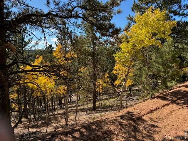 85 Remwood Circle Divide, CO 80814