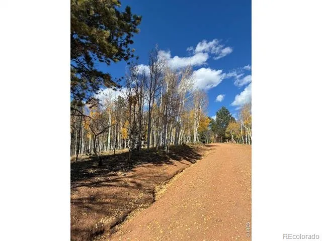 85 Remwood Circle Divide, CO 80814