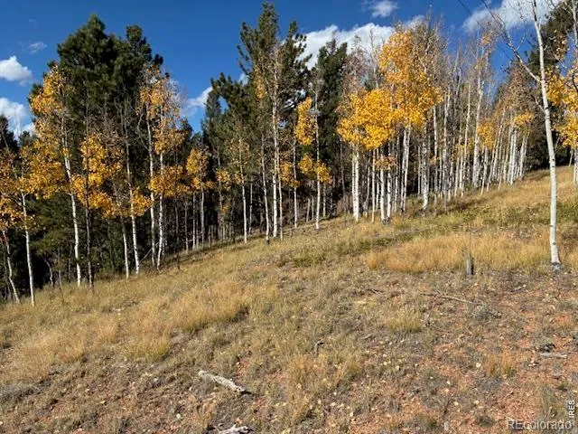 85 Remwood Circle Divide, CO 80814