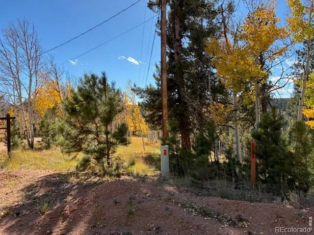 85 Remwood Circle Divide, CO 80814
