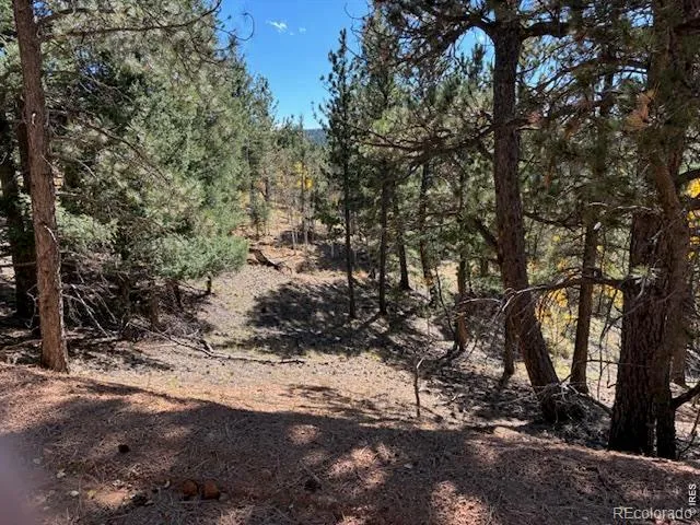 85 Remwood Circle Divide, CO 80814