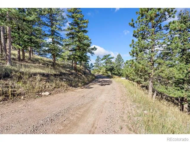 90 Sunlight Circle Livermore, CO 80536