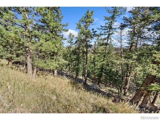 90 Sunlight Circle Livermore, CO 80536