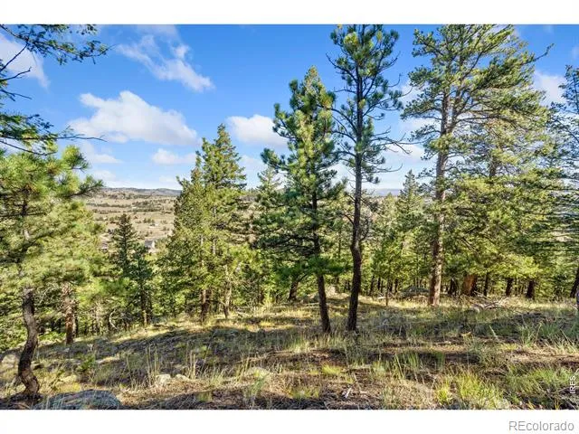 90 Sunlight Circle Livermore, CO 80536