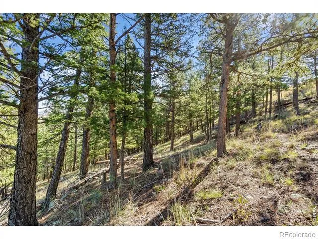 90 Sunlight Circle Livermore, CO 80536