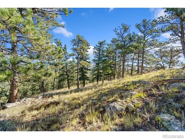 90 Sunlight Circle Livermore, CO 80536