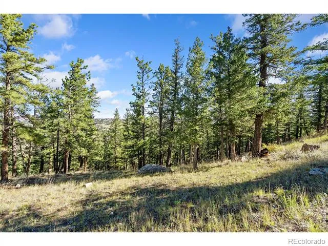 90 Sunlight Circle Livermore, CO 80536