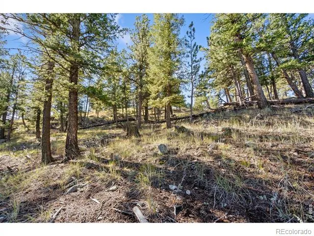 90 Sunlight Circle Livermore, CO 80536