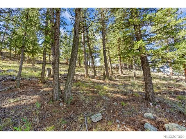 90 Sunlight Circle Livermore, CO 80536