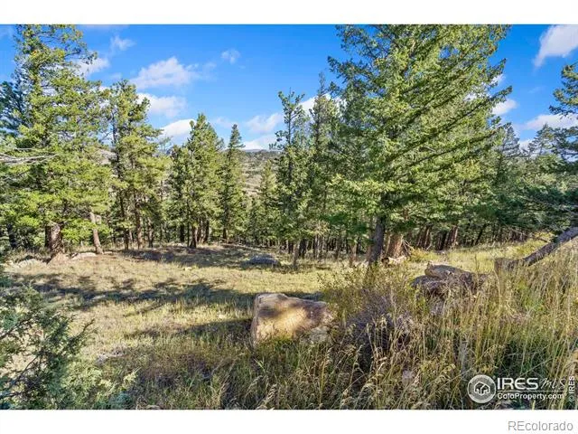 90 Sunlight Circle Livermore, CO 80536
