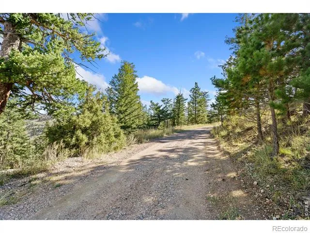90 Sunlight Circle Livermore, CO 80536