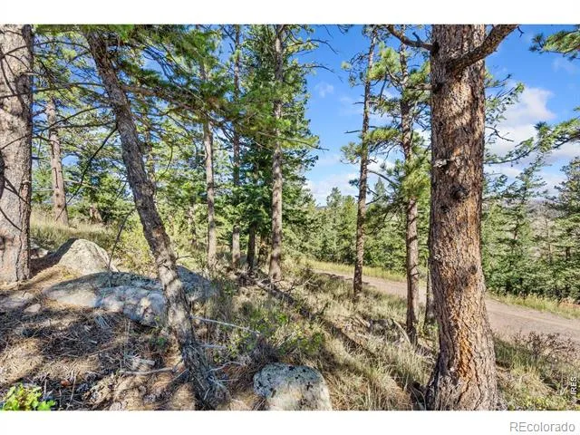 90 Sunlight Circle Livermore, CO 80536