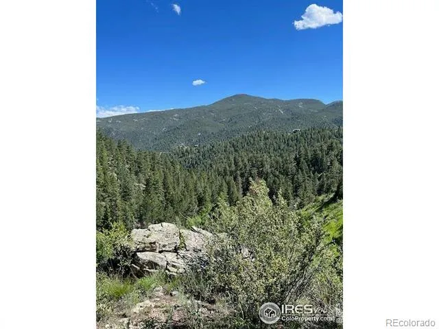 84 Copper Hill Road Glen Haven, CO 80532