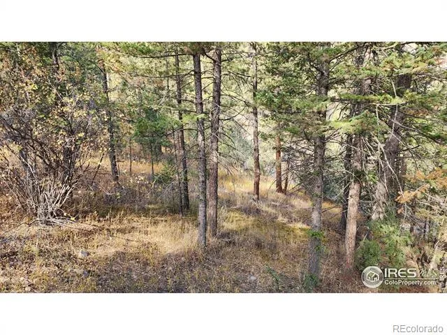84 Copper Hill Road Glen Haven, CO 80532