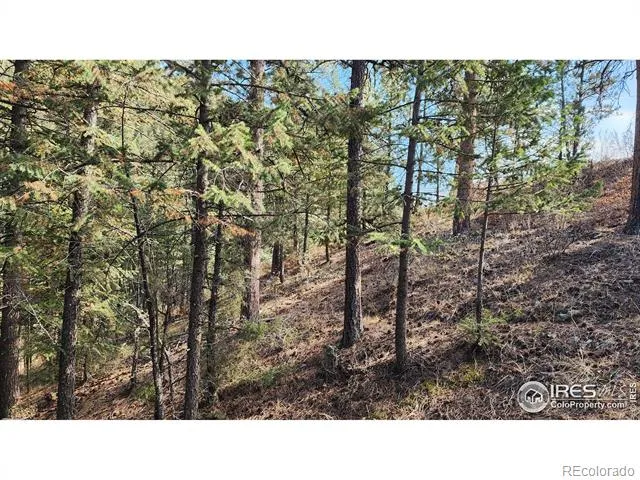 84 Copper Hill Road Glen Haven, CO 80532