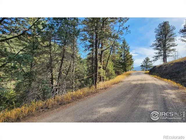 84 Copper Hill Road Glen Haven, CO 80532