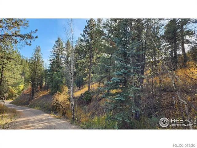 84 Copper Hill Road Glen Haven, CO 80532